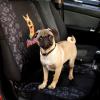imageBDK Scooby Doo Waterproof Car Seat Cover for Dogs Front Seat Heavy Duty Black Oxford Automotive Front Seat Cover for Pets Interior Covers for Auto Truck Van SUV1 Front Seat