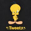 image:imageBDK Warner Bros Looney Tunes Tweety Bird Car Accessories  Windshield Sun Shade 58x27 in UV Block Double Bubble Accordion Folding  Universal Fit Floor Mats Set Front and Rear NoSlip Grip